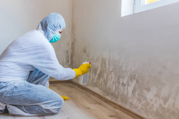 Licensed Bathroom Mold Removal service in Roanoke, TX - Car Mold Remediation