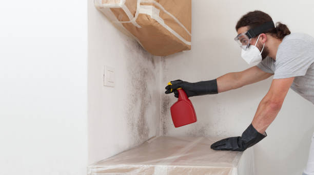 Professional Bathroom Mold Removal technician working in Roanoke, TX