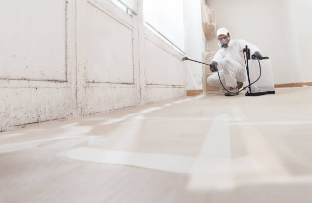 24/7 Emergency Bathroom Mold Removal experts in Roanoke, TX